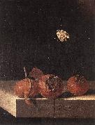 COORTE, Adriaen Three Medlars with a Butterfly zsdgf oil painting reproduction